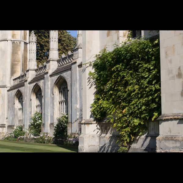 090927-Cambridge_MG_#20236