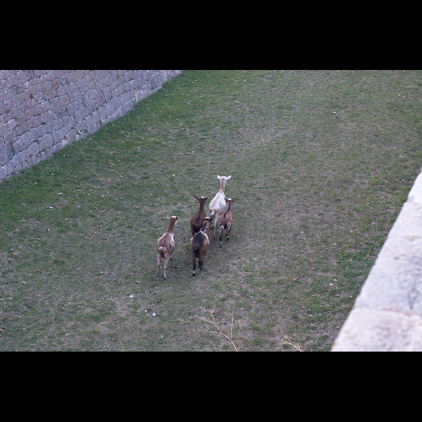 091005-Briancon_MG_5#20382