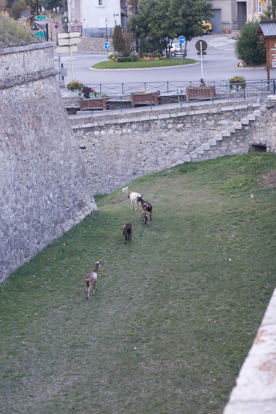 091005-Briancon_MG_5#20383