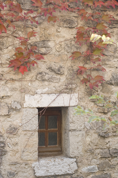091005-Provence_MG_5#20361