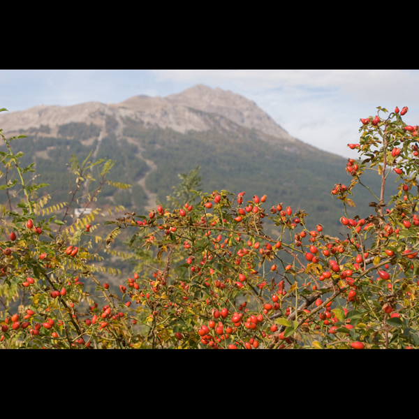 091006-Briancon_MG_5#20417