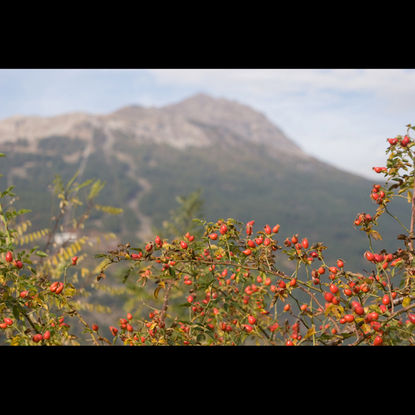 091006-Briancon_MG_5#20418