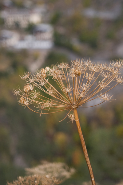 091006-Briancon_MG_5#20420