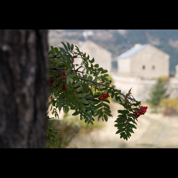 091006-Briancon_MG_5#20438