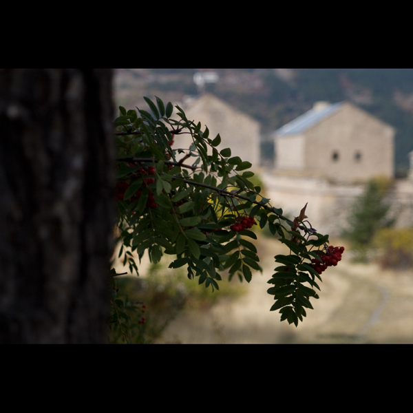091006-Briancon_MG_5#20439