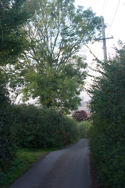 091011-Devon_MG_5466 copy