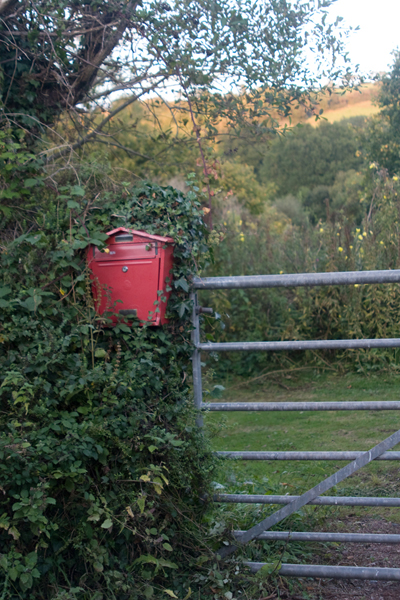 091011-Devon_MG_5470 copy