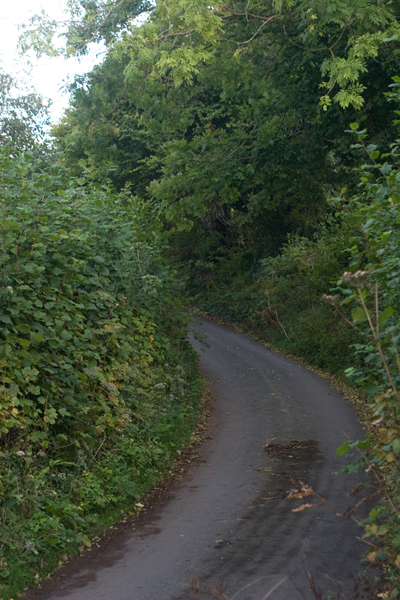 091011-Devon_MG_5479 copy