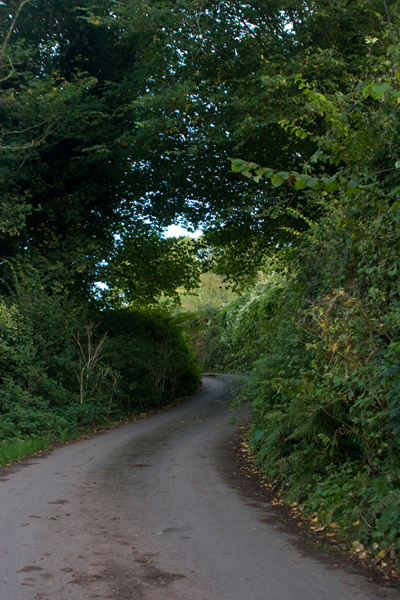 091011-Devon_MG_5482 copy