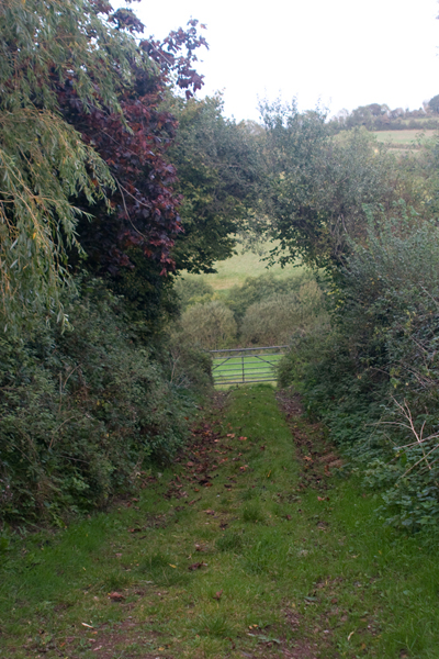 091011-Devon_MG_5484 copy