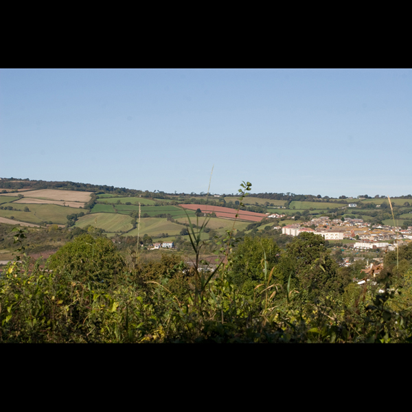 091012-Devon_MG_5529 copy