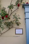 090926-DaveCarliWedd#20145