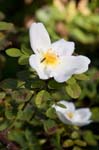 090926-DaveCarliWedd#20156