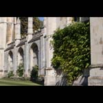 090927-Cambridge_MG_#20236