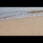 091004-Mediterranean#20343