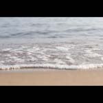 091004-Mediterranean#20344