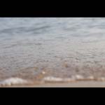 091004-Mediterranean#20345