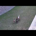 091005-Briancon_MG_5#20382