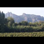 091005-Provence_MG_5#20353