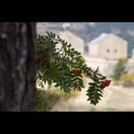 091006-Briancon_MG_5#20438