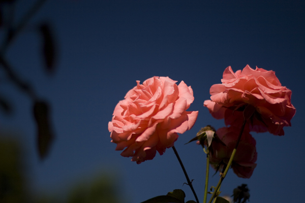 081007-RoadTrip08_MG_2386_1