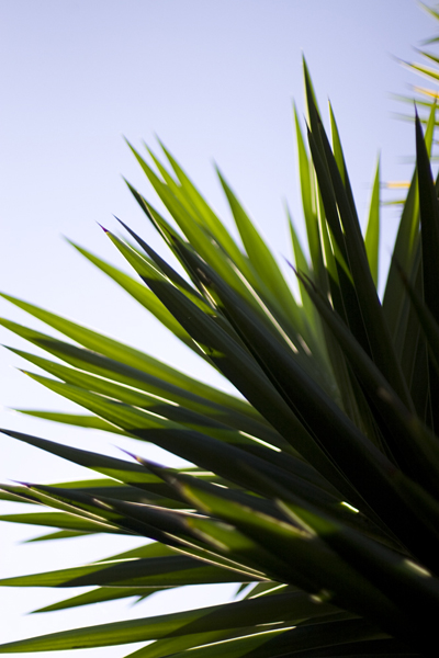 081007-RoadTrip08_MG_2441_1