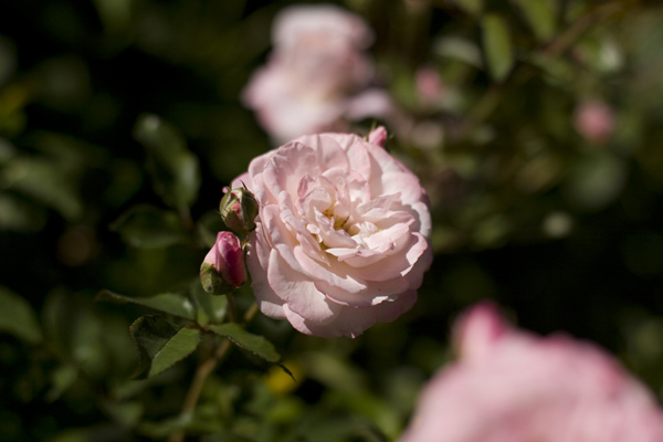 081007-RoadTrip08_MG_2451_1