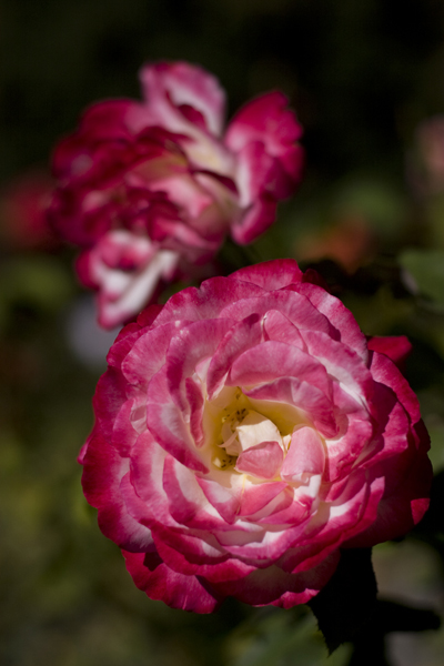 081007-RoadTrip08_MG_2462_1