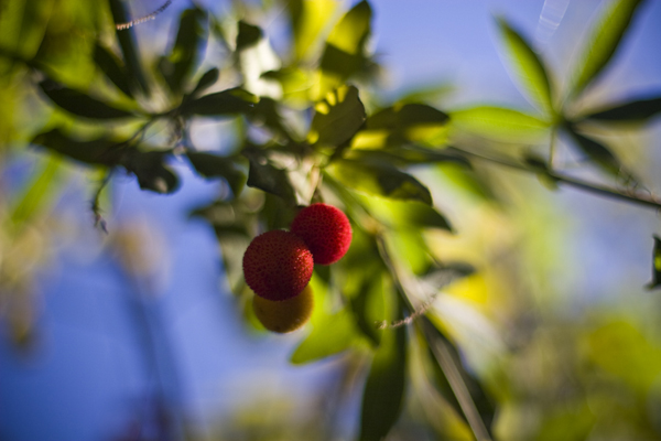 081007-RoadTrip08_MG_2502_1