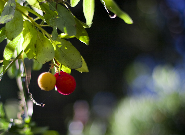 081007-RoadTrip08_MG_2505_1