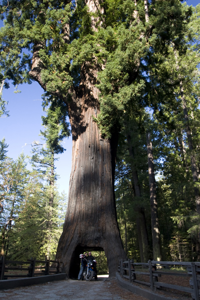 081010-RoadTrip08_MG_2582_1