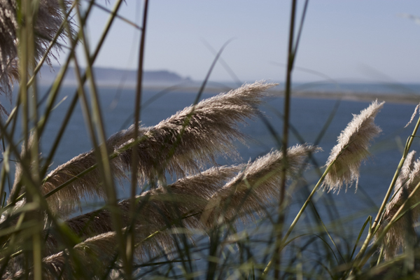 081011-RoadTrip08_MG_2586_1