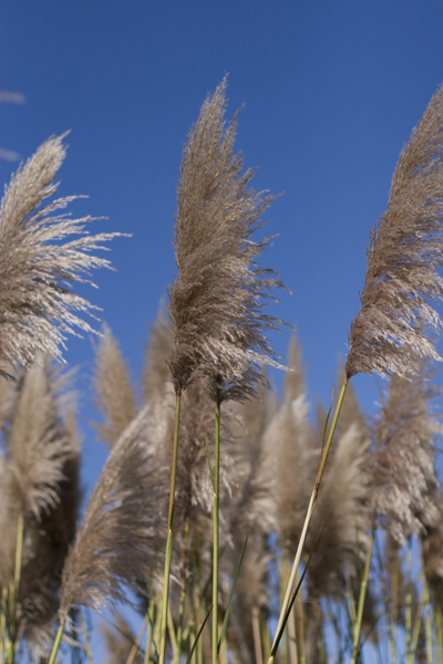 081011-RoadTrip08_MG_2587_1