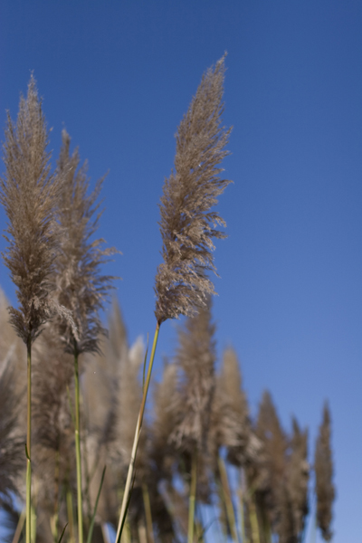 081011-RoadTrip08_MG_2588_1