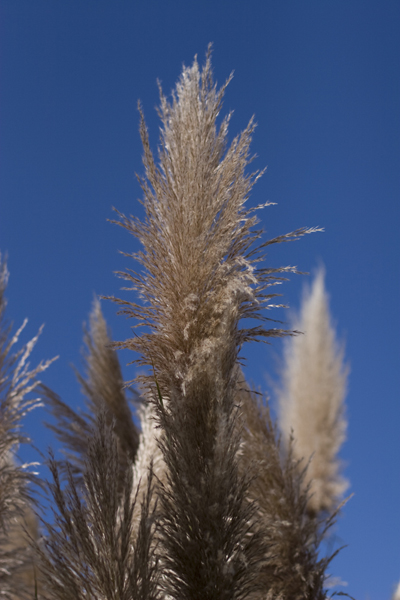 081011-RoadTrip08_MG_2589_1