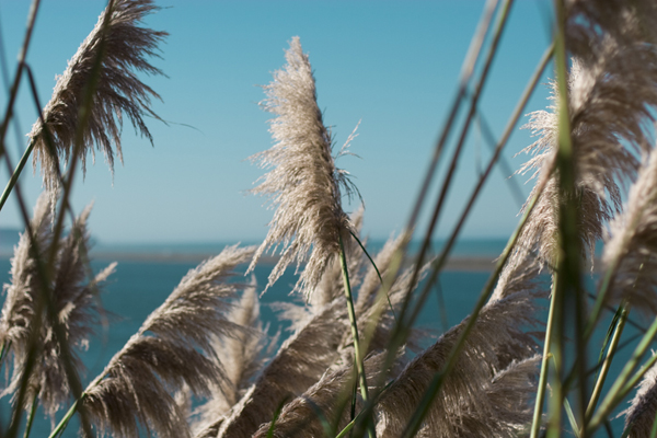 081011-RoadTrip08_MG_2590_1