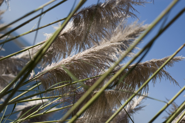 081011-RoadTrip08_MG_2591_1