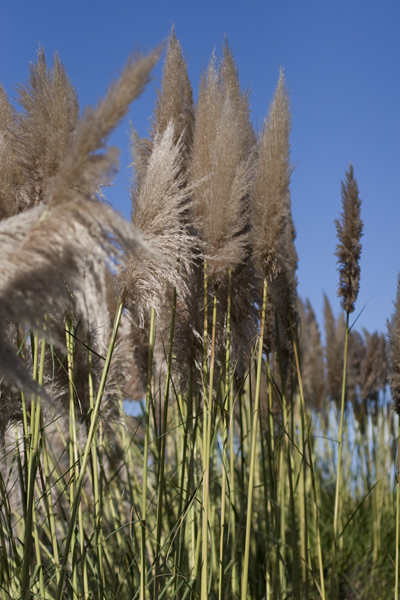 081011-RoadTrip08_MG_2592_1