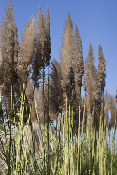 081011-RoadTrip08_MG_2594_1