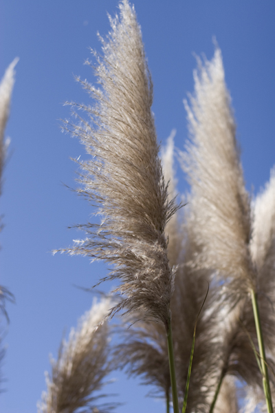 081011-RoadTrip08_MG_2597_1