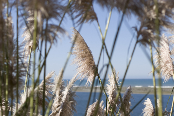 081011-RoadTrip08_MG_2598_1