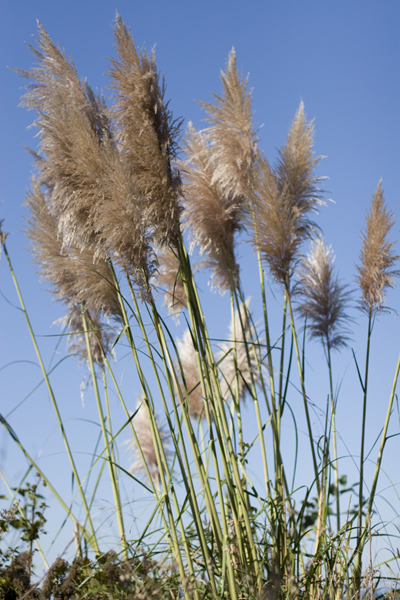 081011-RoadTrip08_MG_2599_1