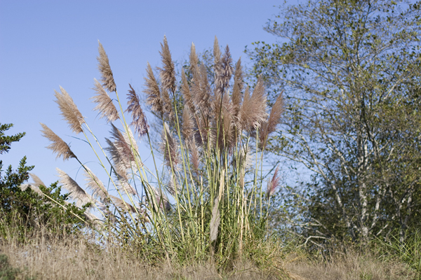 081011-RoadTrip08_MG_2600_1