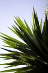 081007-RoadTrip08_MG_2441_1