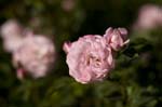 081007-RoadTrip08_MG_2454_1