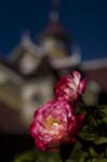 081007-RoadTrip08_MG_2463_1