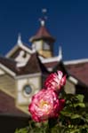 081007-RoadTrip08_MG_2470_1