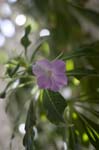 081007-RoadTrip08_MG_2488_1