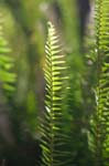 081007-RoadTrip08_MG_2489_1