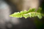 081007-RoadTrip08_MG_2490_1